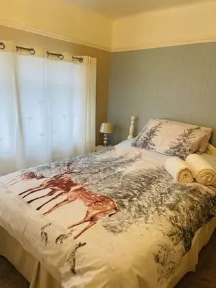 Tek Büyük Yataklı Oda, Özel Banyo (Room 3)