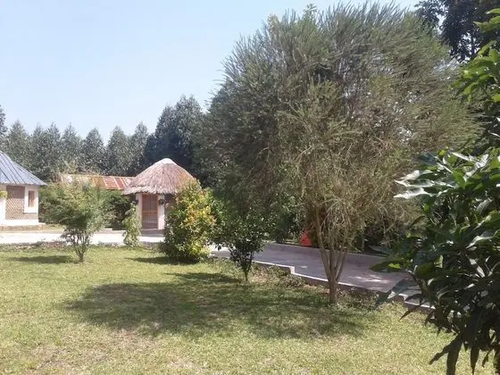 Ortak Ranzalı Oda, 3 Yatak Odası, Balkon