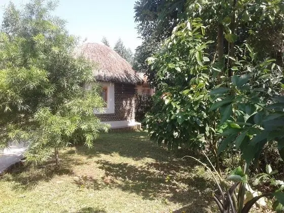 Ortak Ranzalı Oda, 3 Yatak Odası, Balkon