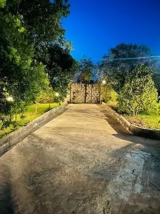 Ortak Ranzalı Oda, 3 Yatak Odası, Balkon