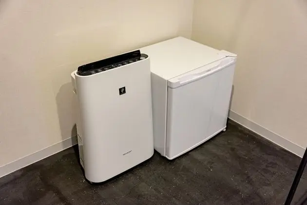 Deluxe Tek Büyük Yataklı Oda, 1 Çift Kişilik Yatak, Ortak Banyo