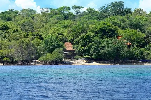 Luxury Villa, 1 Yatak Odası (Ocean)