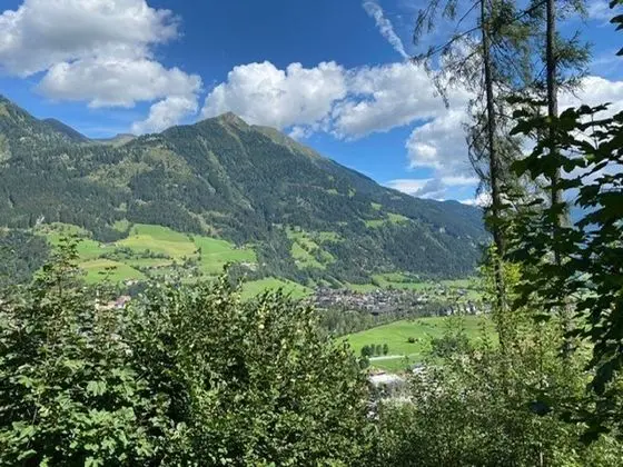 Ev