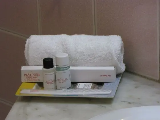 Executive Tek Büyük Yataklı Oda, 1 Yatak Odası, Sigara İçilebilir, Bahçe Manzaralı