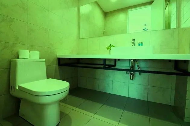 Premier Apart Daire, 1 En Büyük (King) Boy Yatak, Sigara İçilmez, Şehir Manzaralı