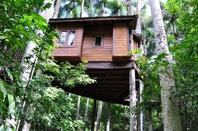 Deluxe Ağaç Ev