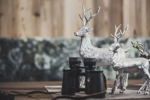 Apart Daire, Balkon (Olive)