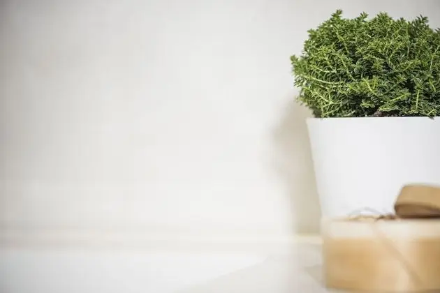 Apart Daire, Dağ Manzaralı (Bordeaux)