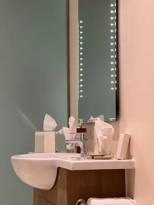Superior Tek Büyük Yataklı Oda (1 King bed)