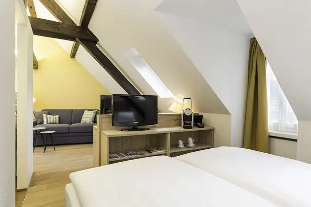 Superior Tek Büyük Yataklı Oda (2 Twin Beds)