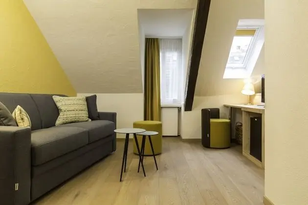 Superior Tek Büyük Yataklı Oda (2 Twin Beds)