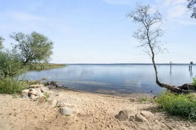 Lagoon 10 - Graureiher