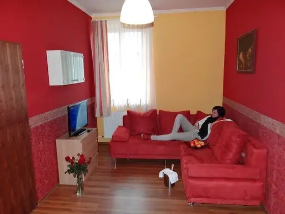 Standard Tek Büyük Yataklı Oda, 1 Büyük (Queen) Boy Yatak ve Çekyat