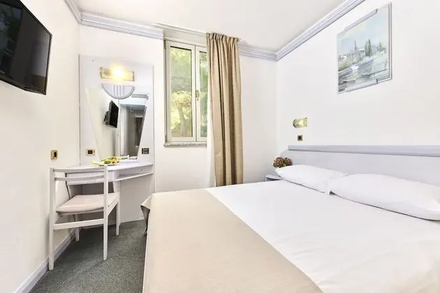 Economy room with french bed, Park side - Single use