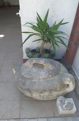 Apart Daire (One Bedroom Apartment with Two Terrac)