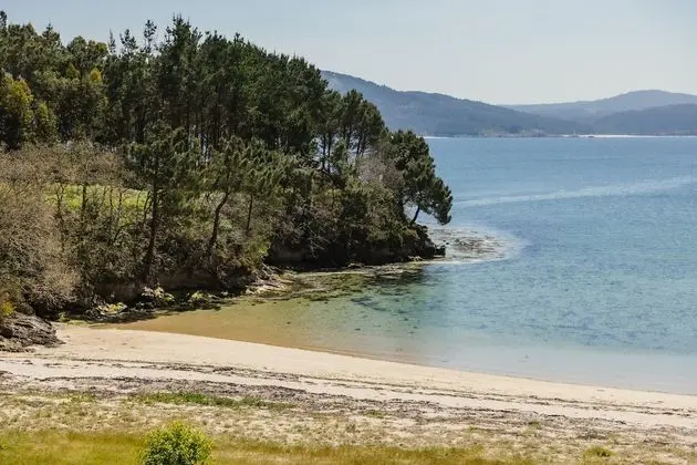 Deluxe Tek Büyük Yataklı Oda, 1 En Büyük (King) Boy Yatak