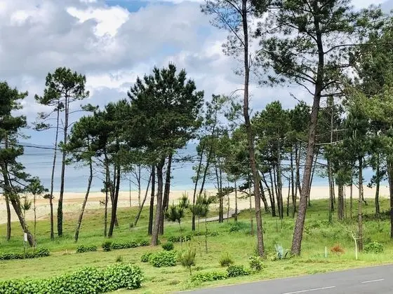 Standard Üç Kişilik Oda, Deniz Manzaralı