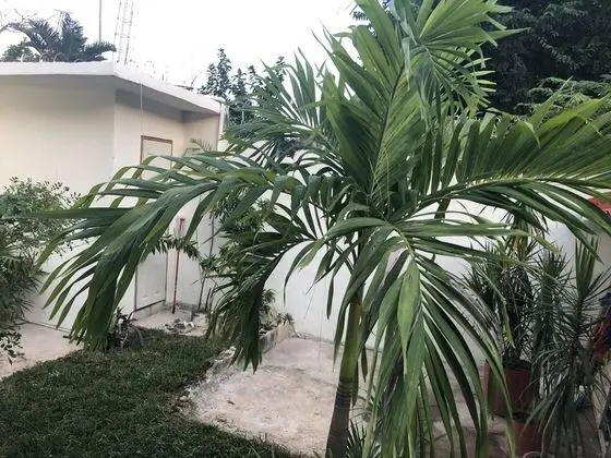 Apart Daire, 1 Yatak Odası, Engellilere Uygun, Veranda