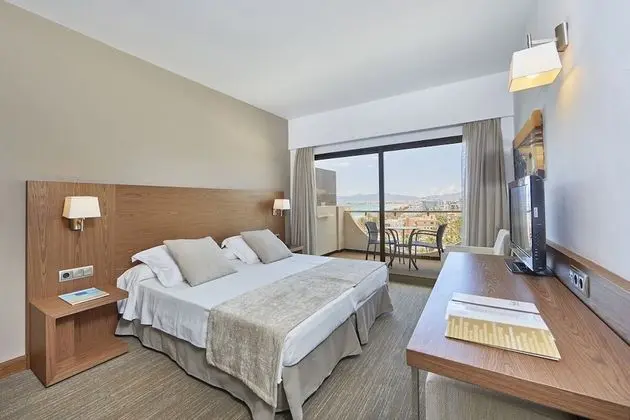 Tek Büyük Yataklı Oda, Balkon, Kısmi Deniz Manzarası
