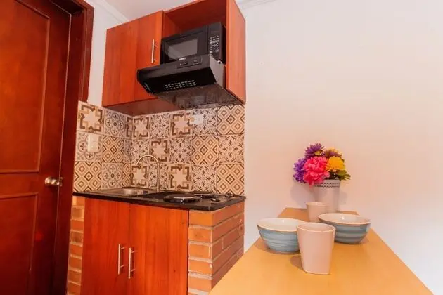 Basic Tek Büyük Yataklı Oda, 1 En Büyük (King) Boy Yatak, Şehir Manzaralı