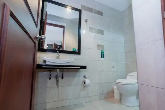Basic Tek Büyük Yataklı Oda, 1 En Büyük (King) Boy Yatak, Şehir Manzaralı