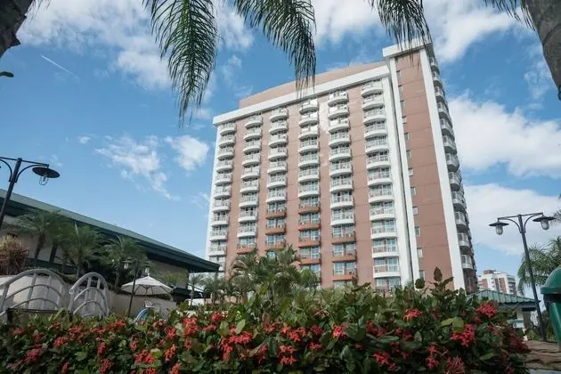 Superior Oda, 1 Çift Kişilik Yatak