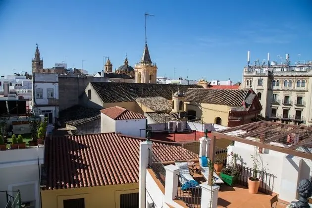 Ev, 6 Yatak Odası, Teras