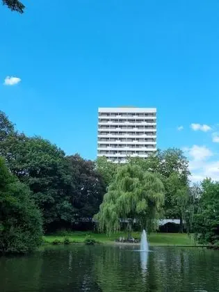 Süit (Bellevue)
