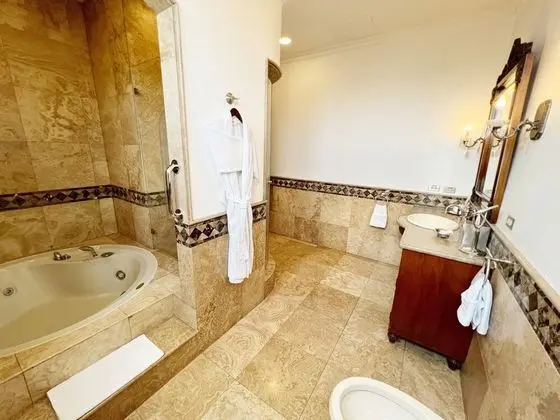 Premium Süit, 1 En Büyük (King) Boy Yatak, Park Manzaralı