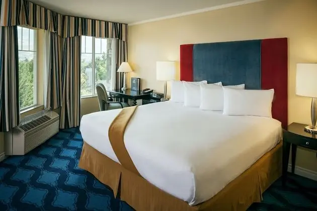 Deluxe Oda, 1 En Büyük (King) Boy Yatak (Cascade Building- Pet Friendly Only)