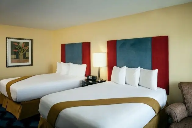 Deluxe Tek Büyük Yataklı Oda, 2 Büyük (Queen) Boy Yatak (Non-Pet Friendly)