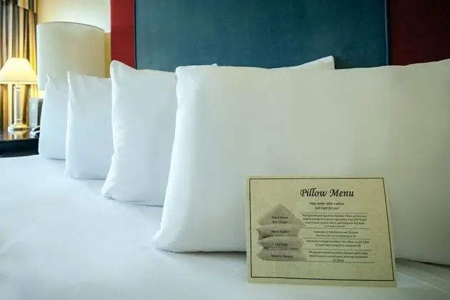 Deluxe Tek Büyük Yataklı Oda, 2 Büyük (Queen) Boy Yatak (Non-Pet Friendly)