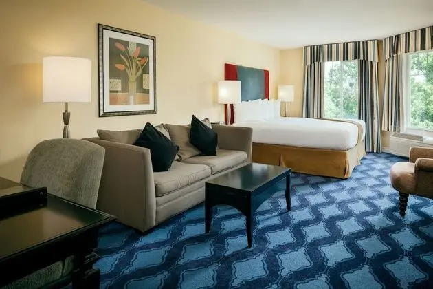 Executive Oda, 1 En Büyük (King) Boy Yatak ve Çekyat, Bahçe Manzaralı (Non-Pet Friendly)