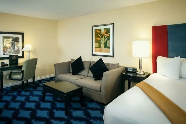 Executive Oda, 1 En Büyük (King) Boy Yatak ve Çekyat (Non-Pet Friendly)