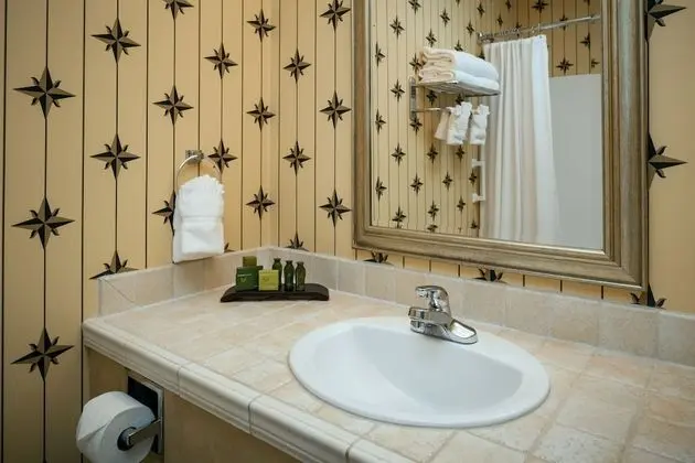 Executive Oda, 1 En Büyük (King) Boy Yatak ve Çekyat (Non-Pet Friendly)