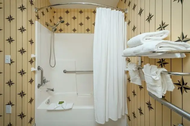 Executive Oda, 1 En Büyük (King) Boy Yatak ve Çekyat (Non-Pet Friendly)