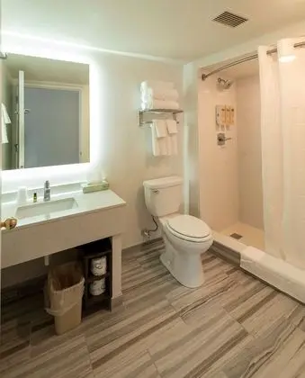 Standard Oda, 1 En Büyük (King) Boy Yatak, Sigara İçilmez, Buzdolabı ve Mikrodalga (Walk-in Shower)