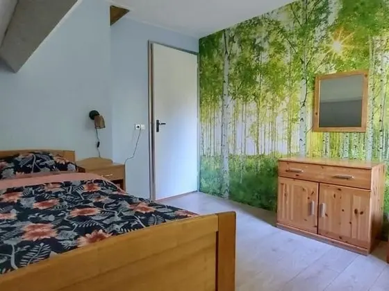 Ev