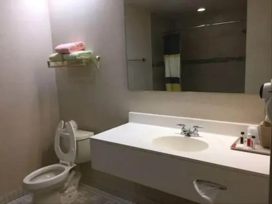Standard Tek Büyük Yataklı Oda, 2 Çift Kişilik Yatak, Sigara İçilmez