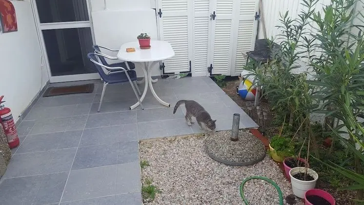 Romantic Stüdyo, 1 Yatak Odası