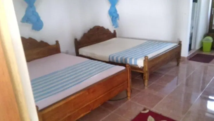Basic Dört Kişilik Oda, 2 Çift Kişilik Yatak, Göl Manzaralı