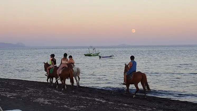 Oda, 1 Yatak Odası, Balkon