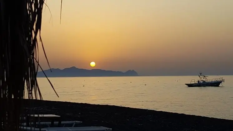 Oda, 1 Yatak Odası, Balkon