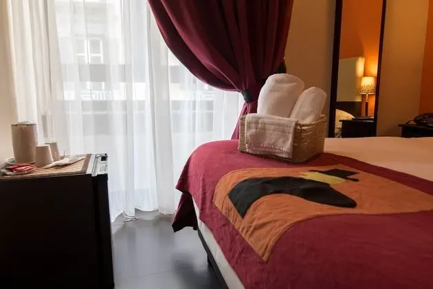 Basic Büyük Yataklı Tek Kişilik Oda, 1 Yatak Odası