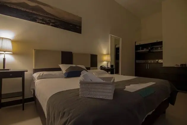 Standard Büyük Yataklı Tek Kişilik Oda (Internal view)