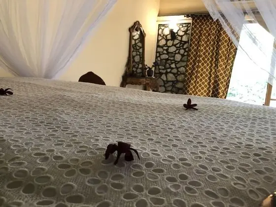 Villa, 2 Yatak Odası, Sigara İçilmez