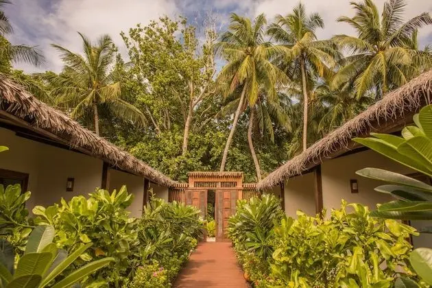 Ocean View Single Room