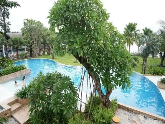 Plumeria Queen Garden View