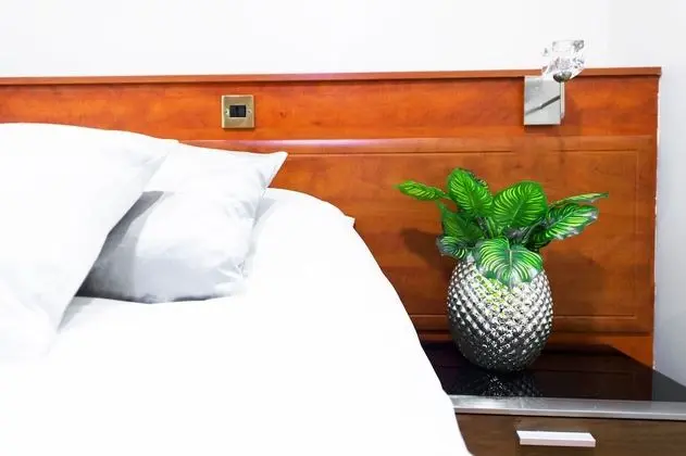 Apart Daire, 1 Yatak Odası (Flat 1)