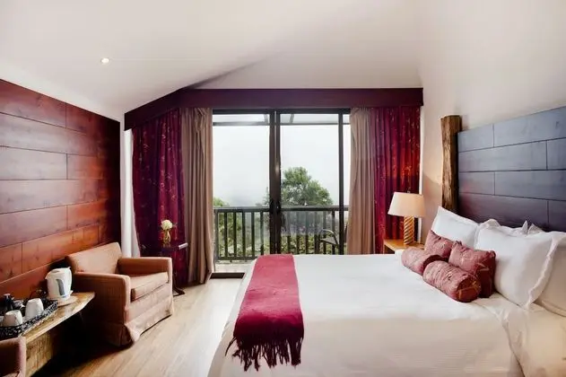 Lodge Room Volcano View Hummingbird